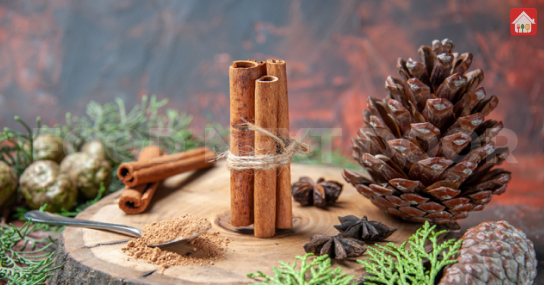 Cinnamon--situation-for-diabetics