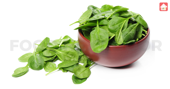 Spinach--eliminating-carbs