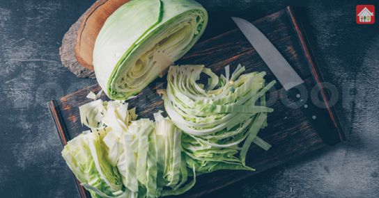 cabbage--daily-calorie