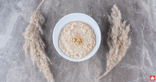 oats--Protein