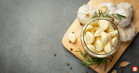 garlic--popular-ingredient