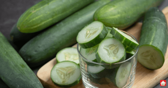 Cucumber--Summer-foods