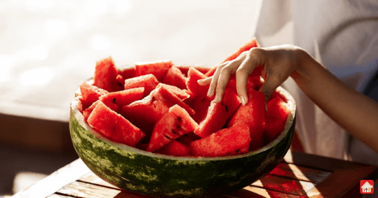Watermelon--best-Summer-food
