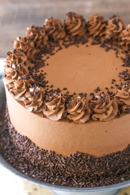 Chocochip Mousse Cake – 500 Gms