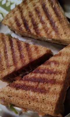 Veg Cheese Grilled Sandwich One Portt